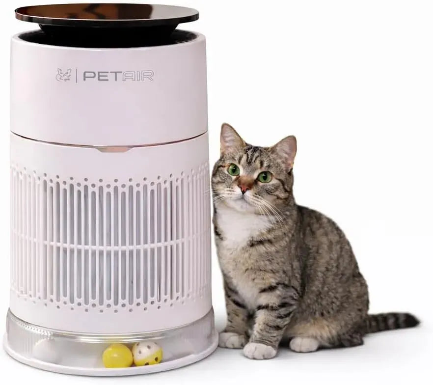 Purificatore d'aria D1-SP201-B, depuratore d'aria, Filtro, Purificatore d'aria per proprietari di animali domestici